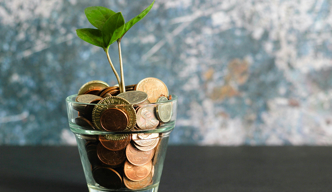 Plant growing in coins symbolizing financial growth